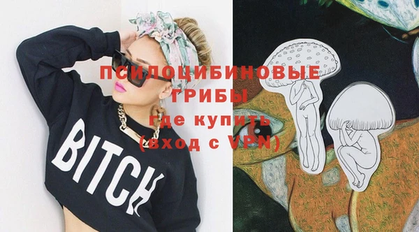 марки lsd Горняк