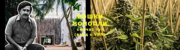 mdpv Горно-Алтайск