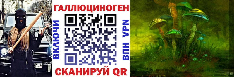 Псилоцибиновые грибы Psilocybe  Железногорск 